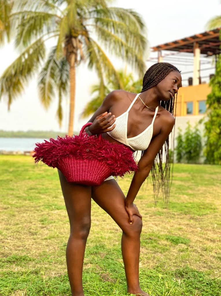 Lulu Bag - Image 2